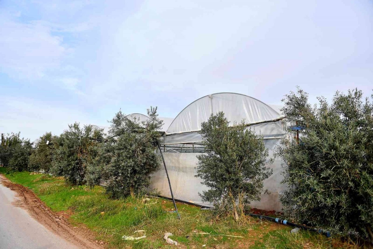 Mersin’de örtü altı üreticilerine destek