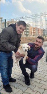 Özel çocuklar için yavru köpeklere kulübe