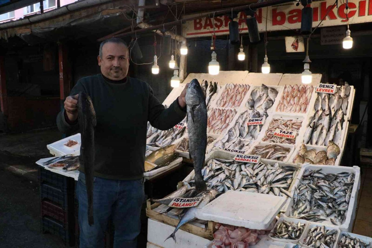 Akdeniz’de sardalya bereketi