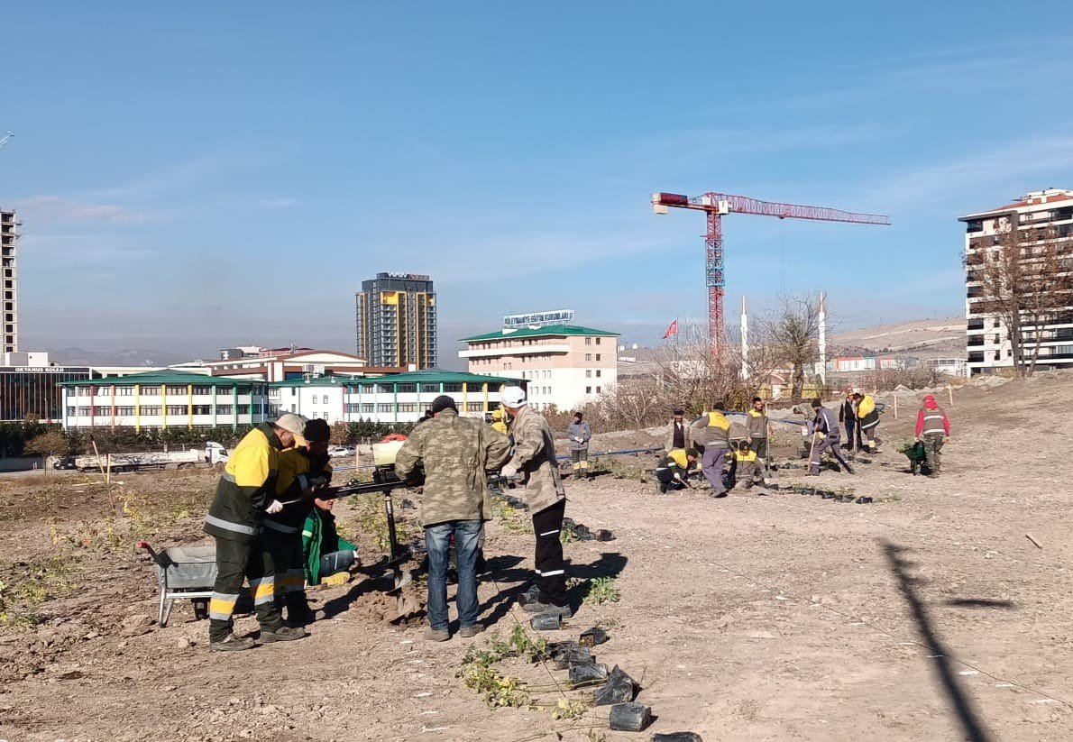 Keçiören’in lavanta ve gül bahçesi genişletiliyor