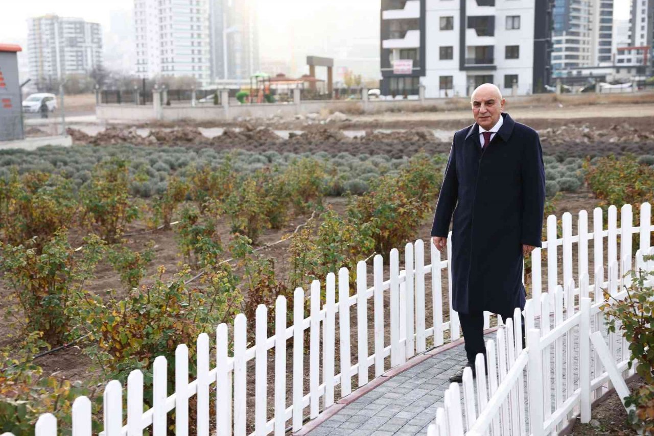 Keçiören’in lavanta ve gül bahçesi genişletiliyor