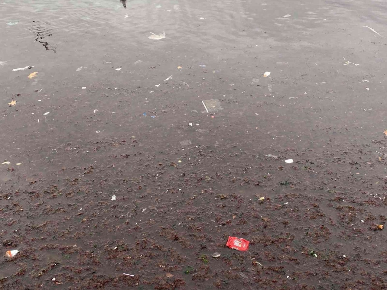 Kadıköy’ü lodos vurdu, Caddebostan sahilini plastik atıklar kapladı