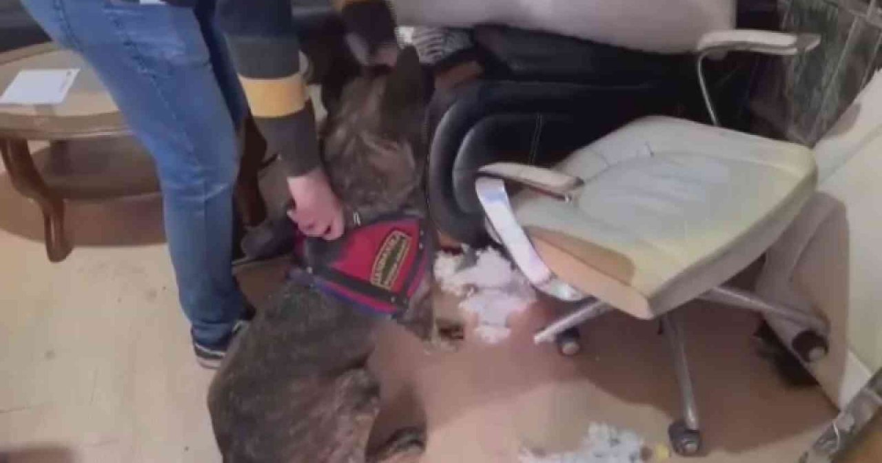 Cephane gibi iş yerine jandarmadan operasyon