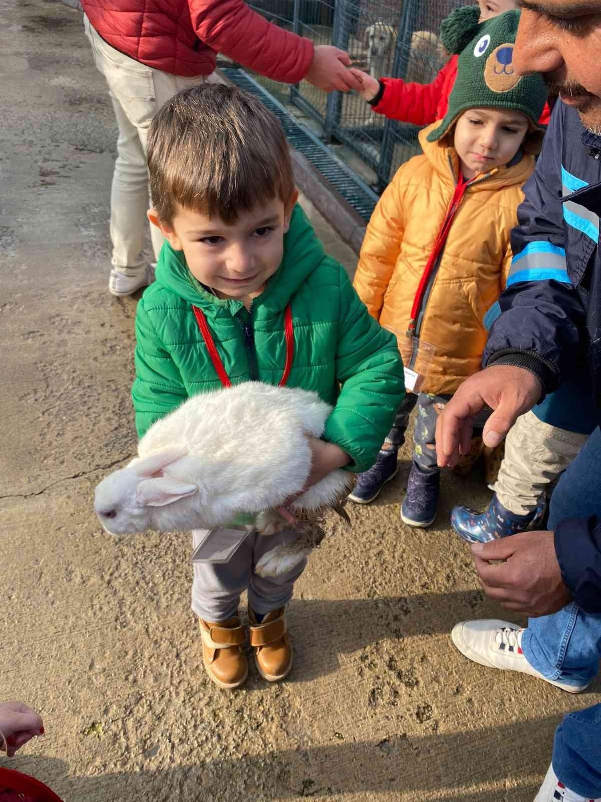 Sincan’daki hayvan Sevgi Bahçesi’ni 1410 öğrenci ziyaret etti
