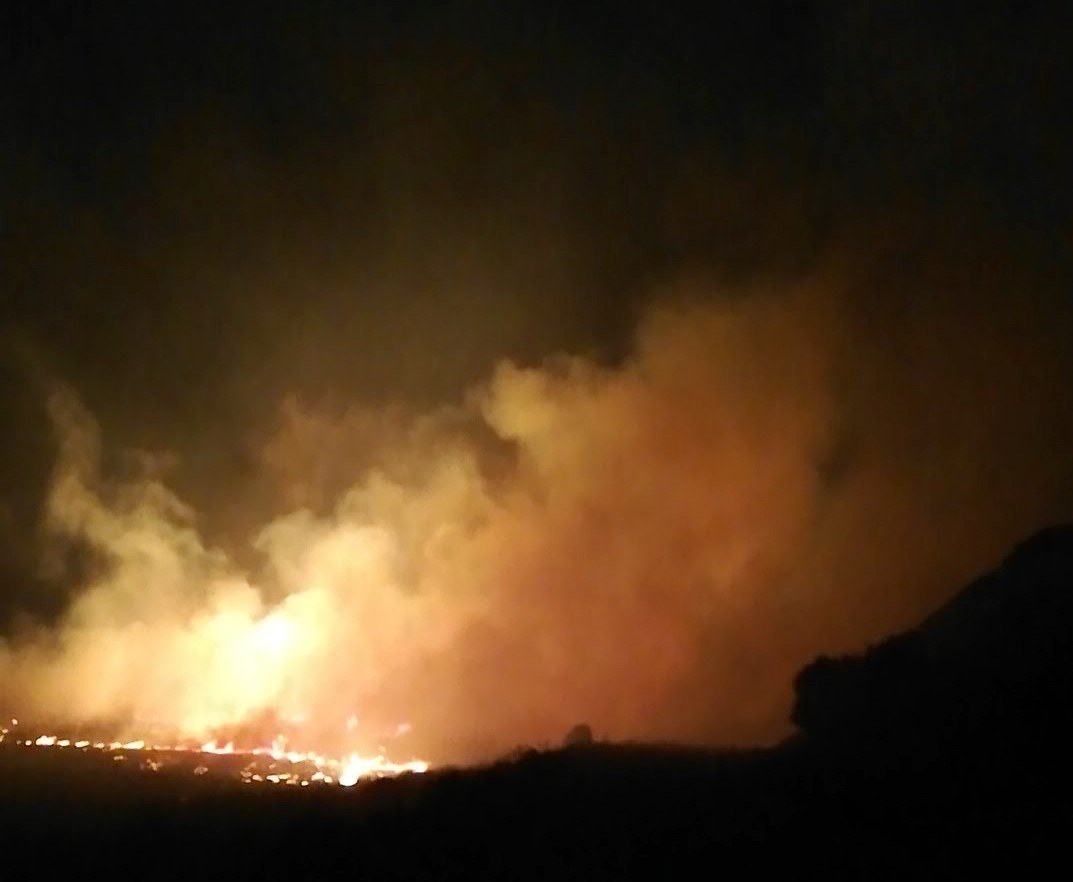 Sazlık yangının doğaya verdiği zararın bilançosu ağır oldu