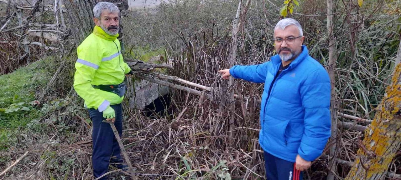 Osmanlı eseri ’Taş Köprü’nün durumu içler acısı