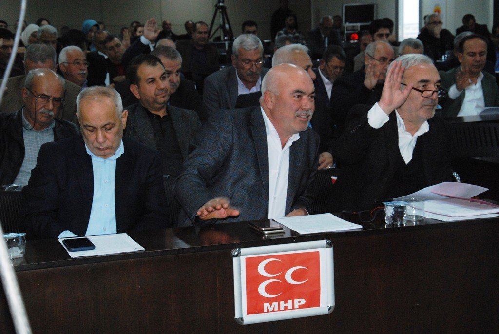 Karalar: "Yılda 25 bin sokak hayvanı kısırlaştırmalıyız"