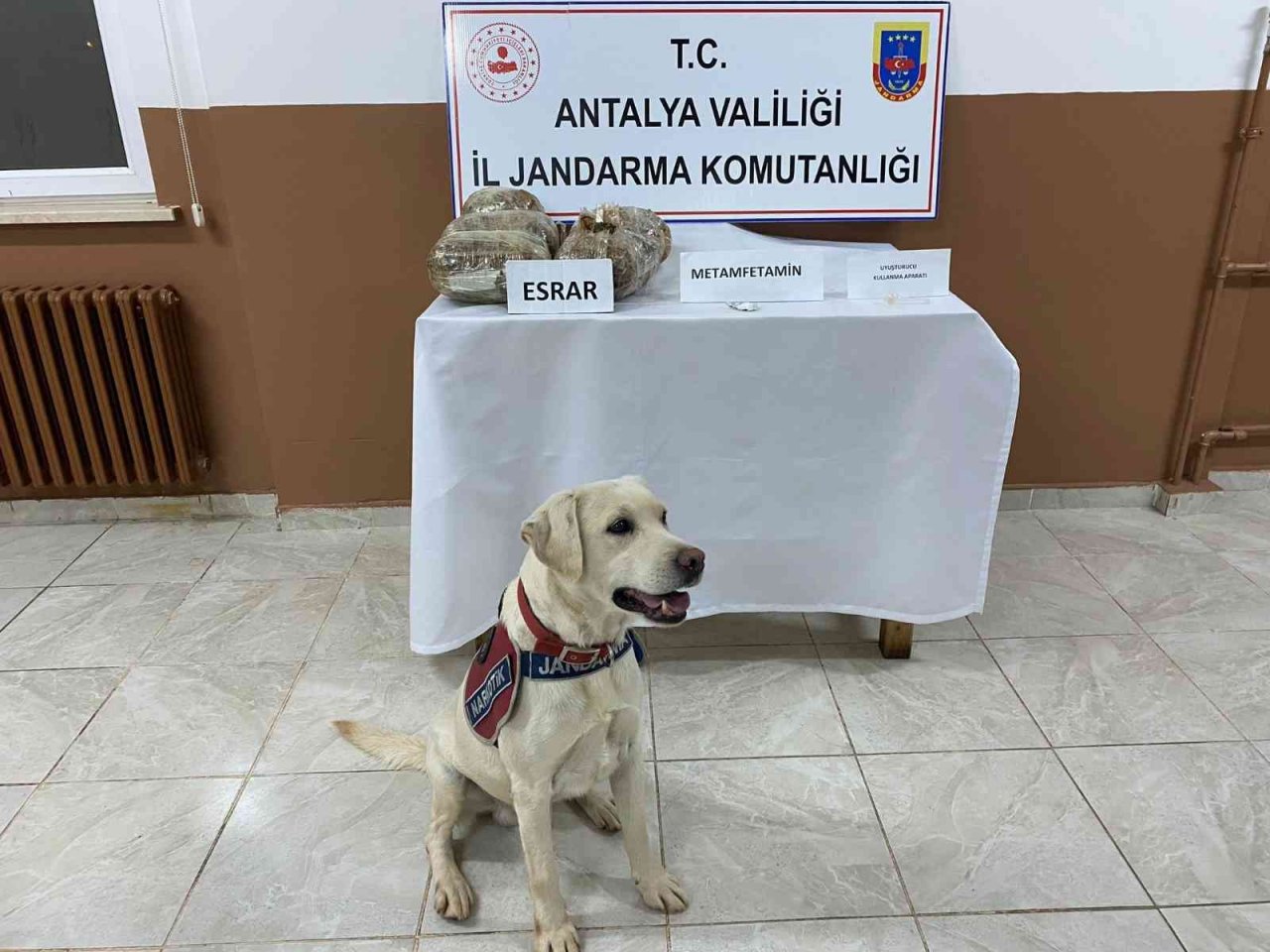 Uyuşturucu taciri, hassas burun Elyaf’a takıldı