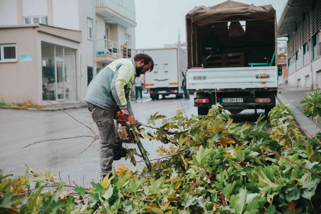 Merkezefendi’de budama çalışmaları devam ediyor