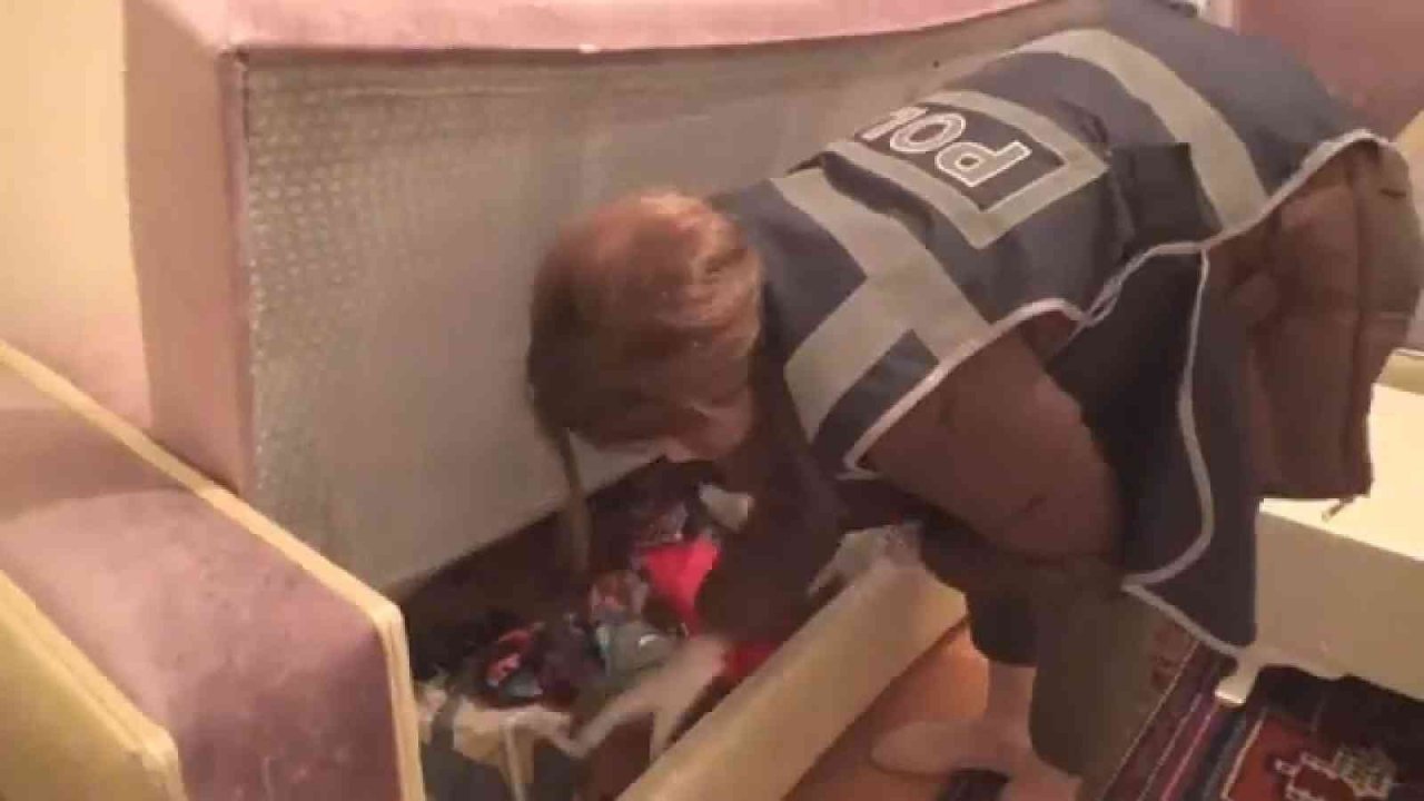 Ev fareleri yakalandı