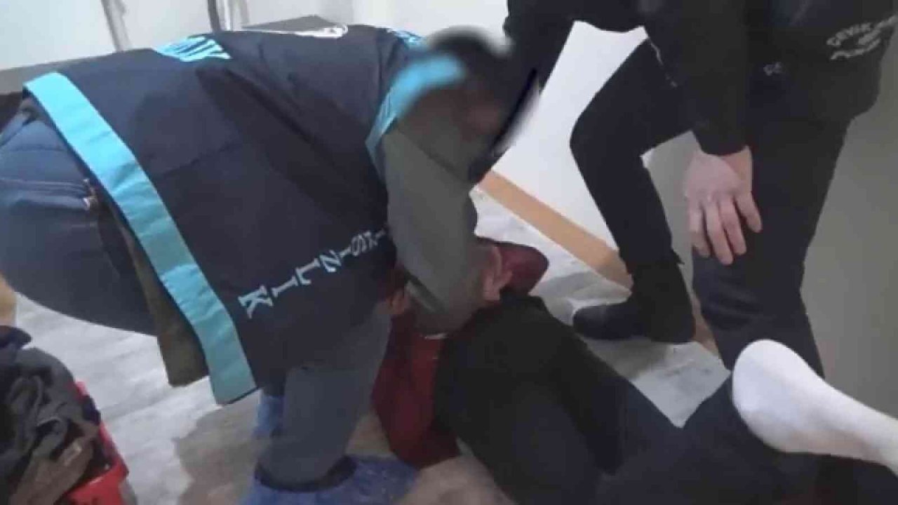 Ev fareleri yakalandı