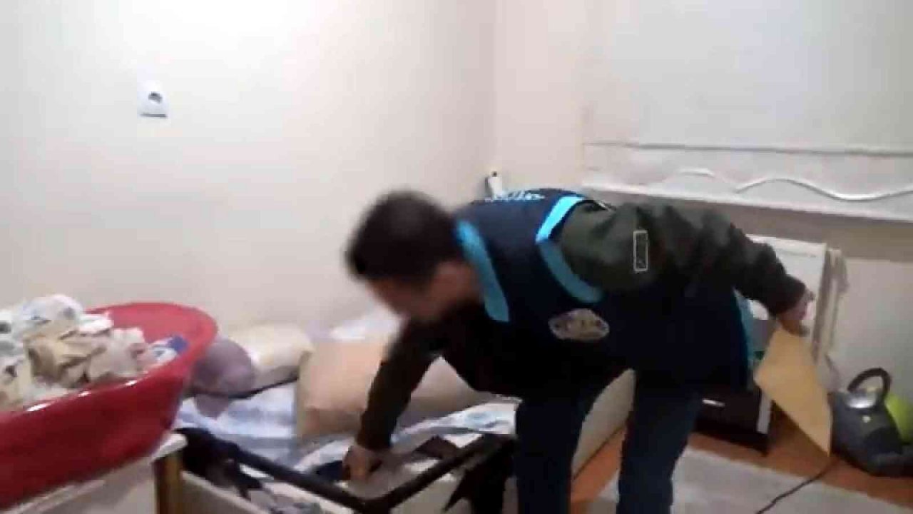 Ev fareleri yakalandı