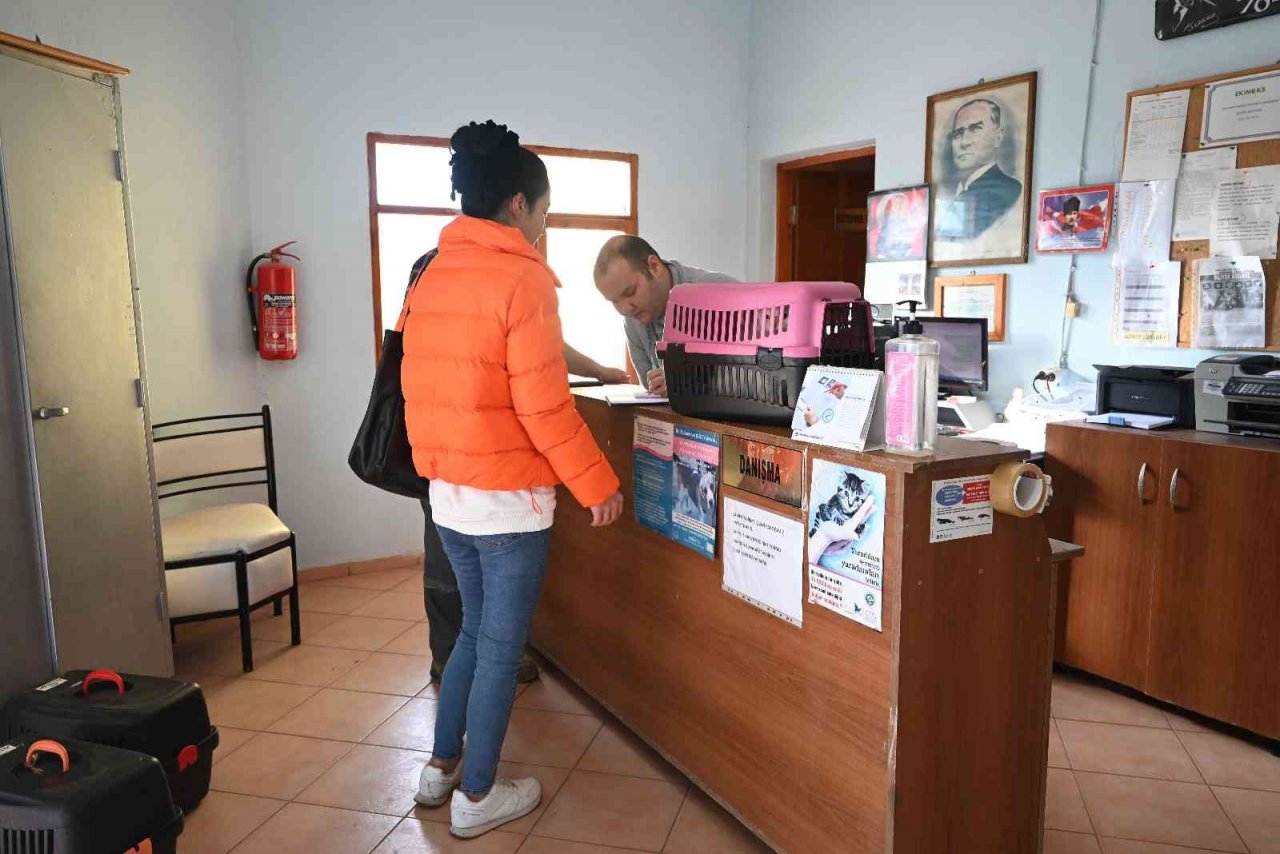 Kemer’de bin 425 sokak hayvanı kısırlaştırıldı