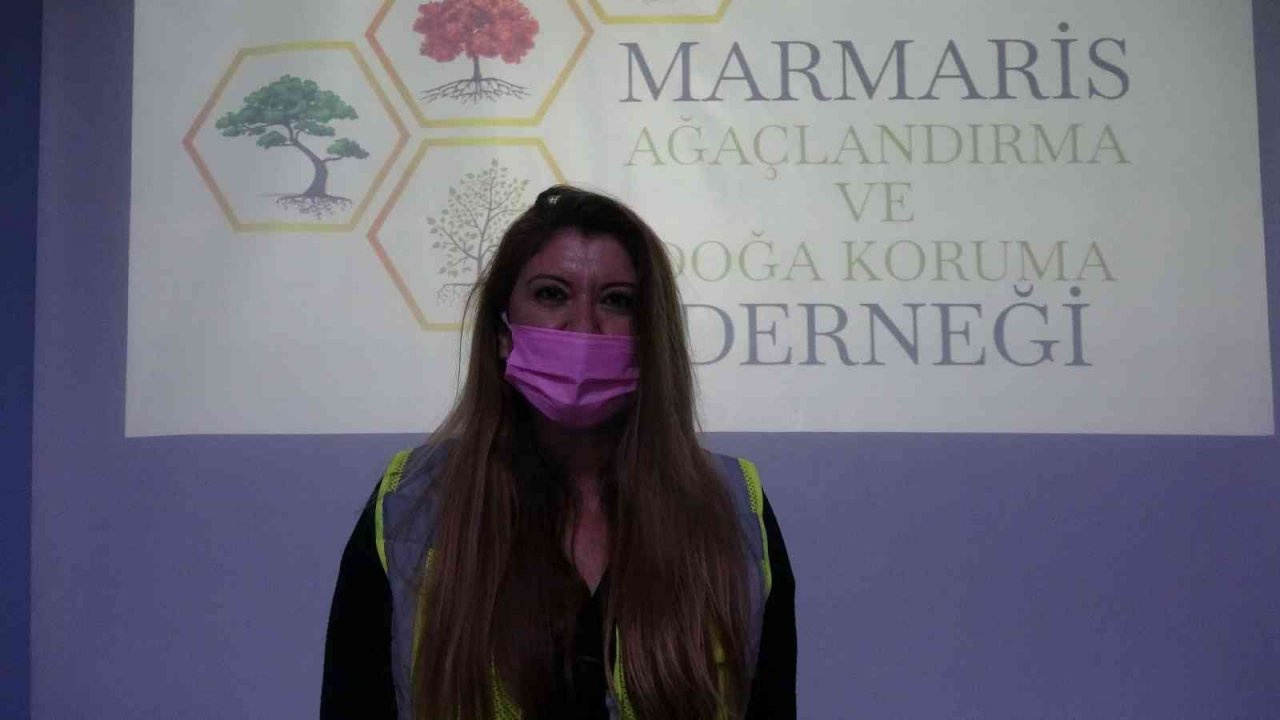 Marmaris’te öğrencilere "İyi ki varsın ağaç" eğitimi verildi