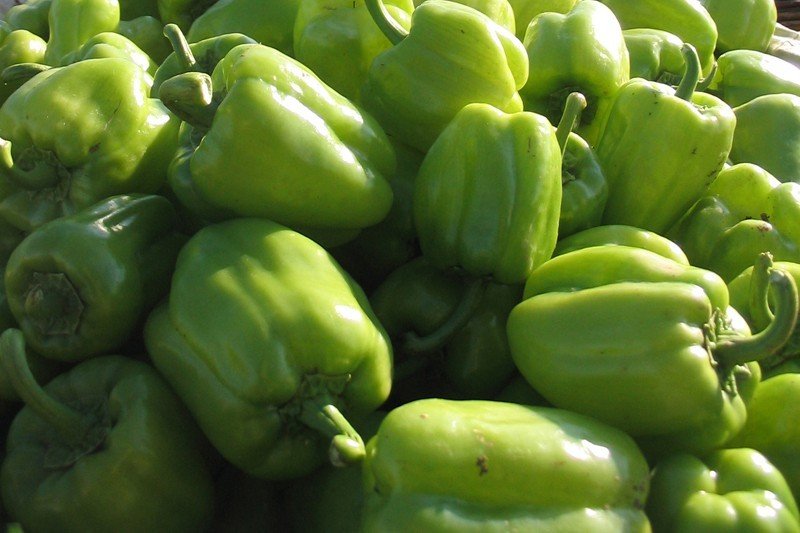 Bursalı çiftçi hayvan gübresini tercih ediyor