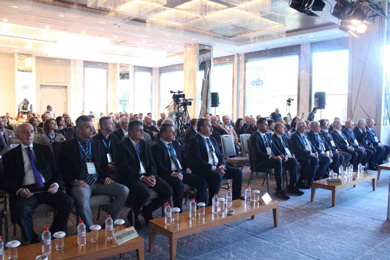 Zeytin ve zeytinyağında tarihi sezon