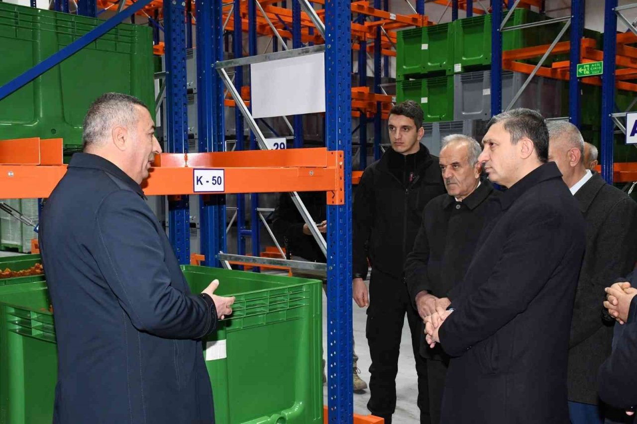 Kuru kayısı lisanslı deposu ile üreticilere kolaylık sağlanıyor