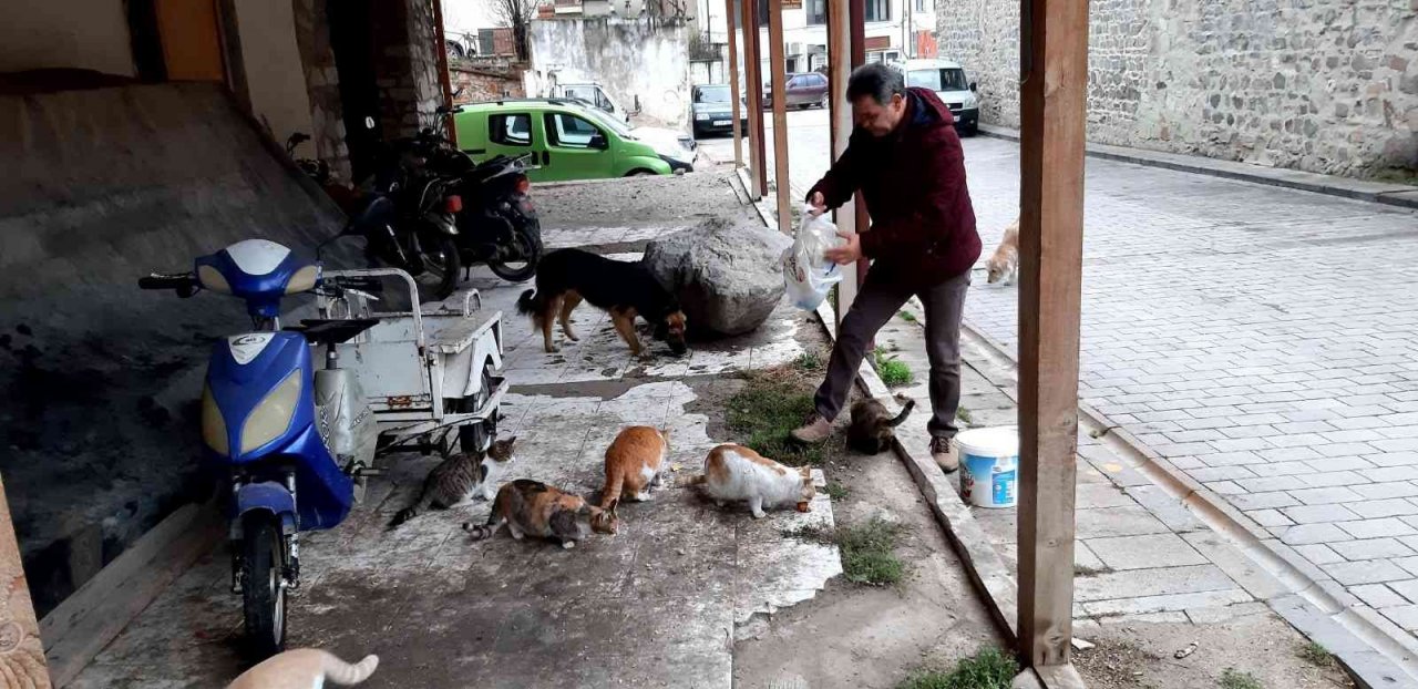 Lokantalarda artan yemekleri hayvanlar için topluyor