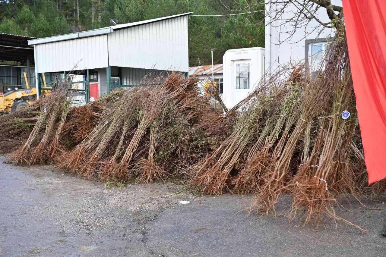 Bursa’da kırsaldaki çiftçilere 20 bin fidan dağıtıldı