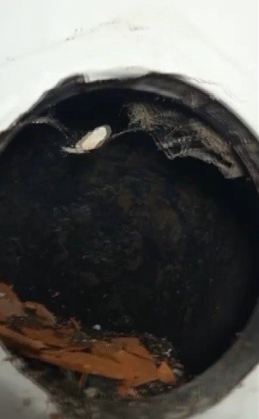 Ev sahibinin kiracıya yaptıkları pes dedirtti