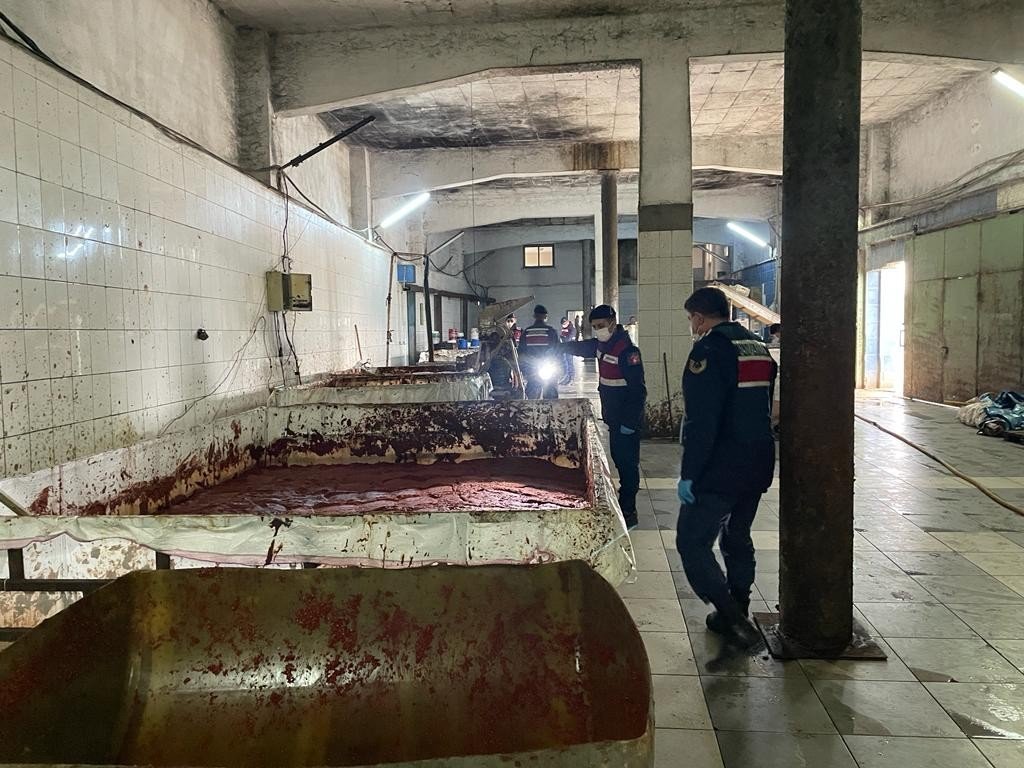 Besi çiftliğinde sağlıksız koşullarda ürettikleri salçayı vatandaşa yedireceklerdi