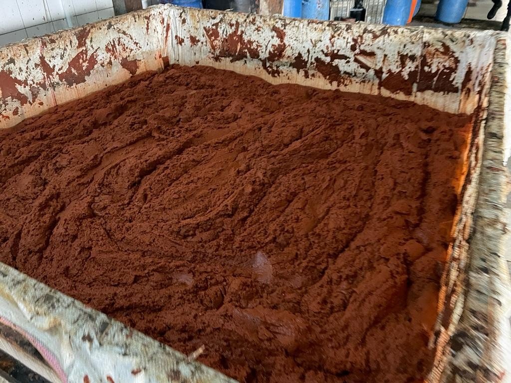 Besi çiftliğinde sağlıksız koşullarda ürettikleri salçayı vatandaşa yedireceklerdi