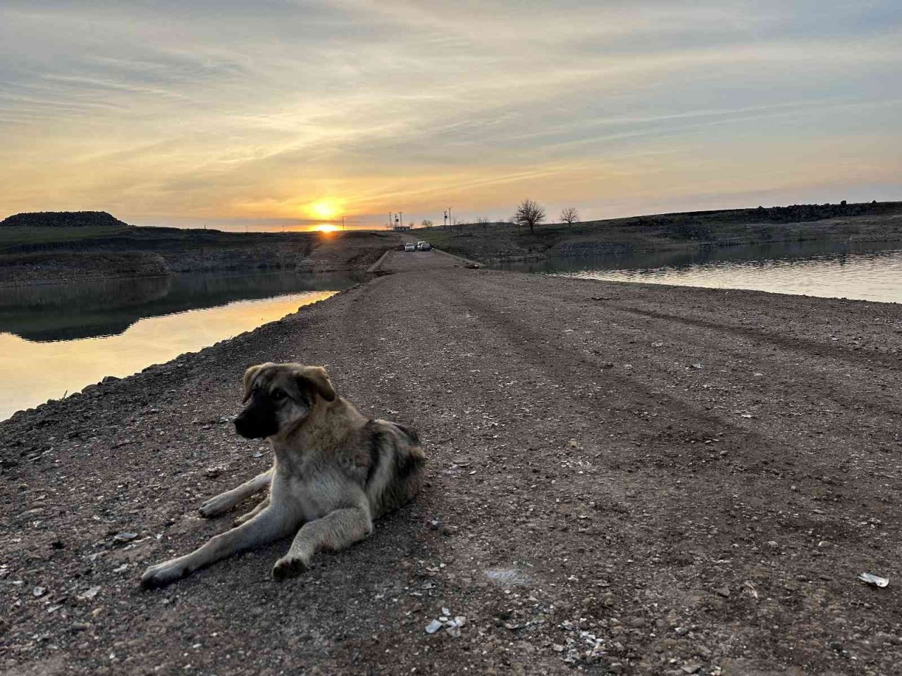 Sular çekilince tarihi köprü gün yüzüne çıktı