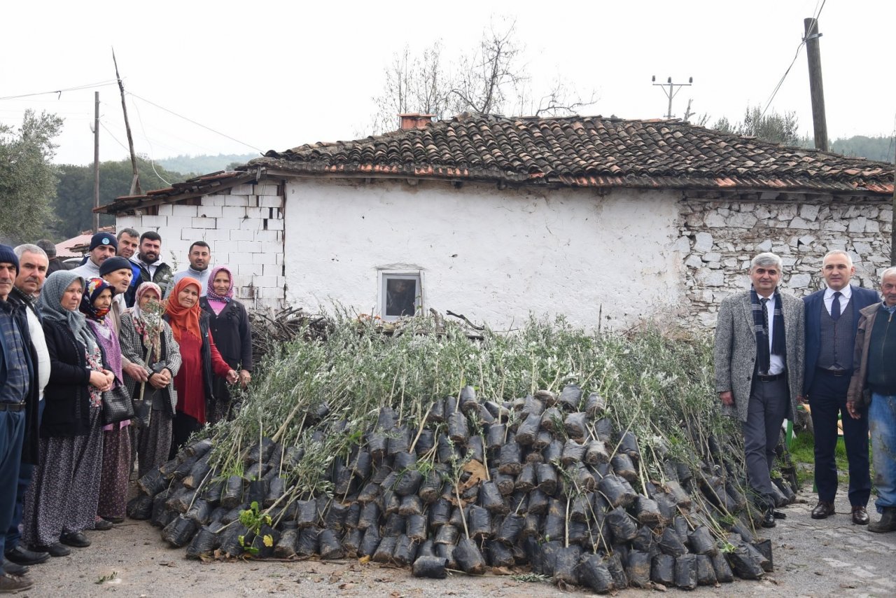 Tarım arazisi yanan üreticilere fidan desteği