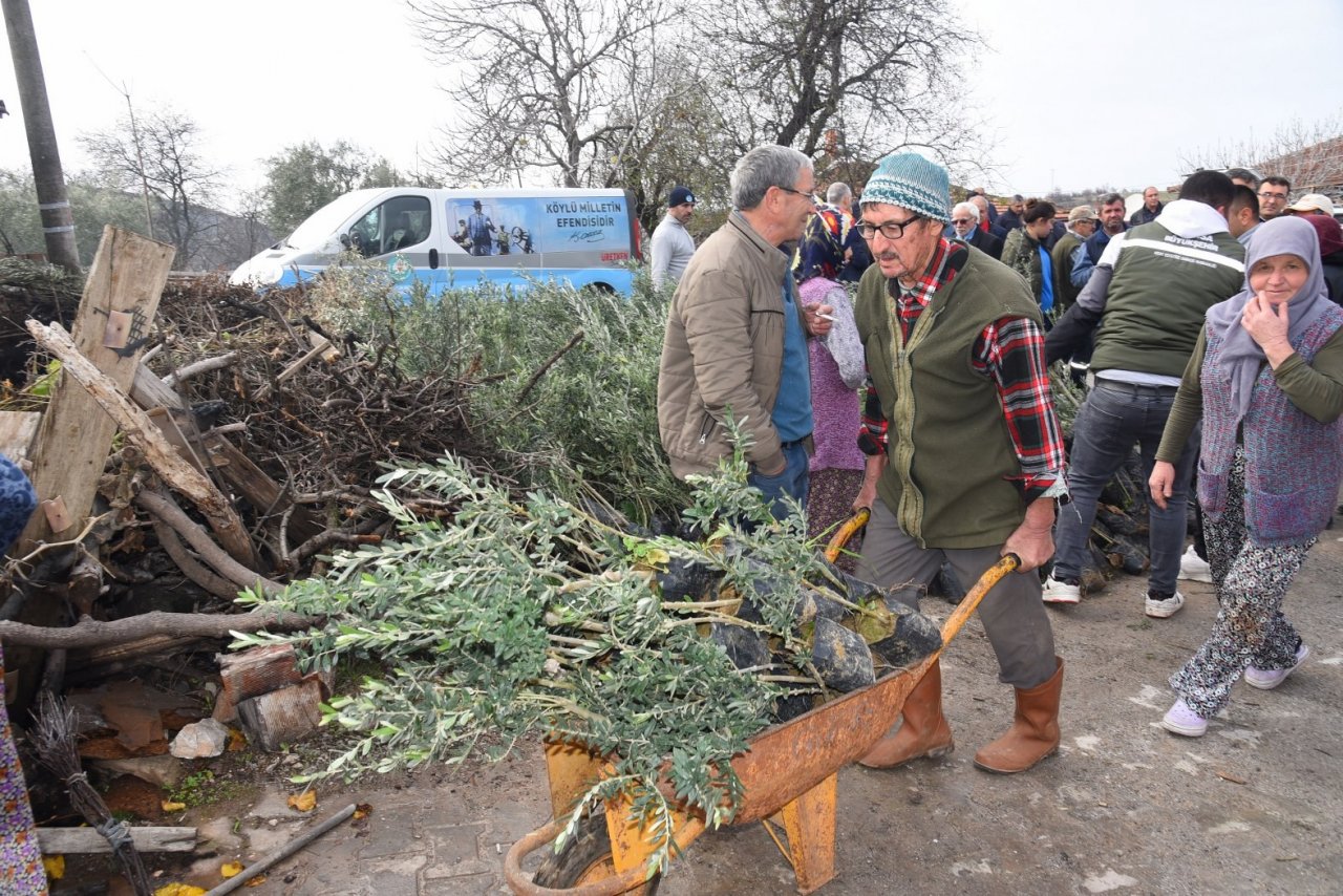 Tarım arazisi yanan üreticilere fidan desteği