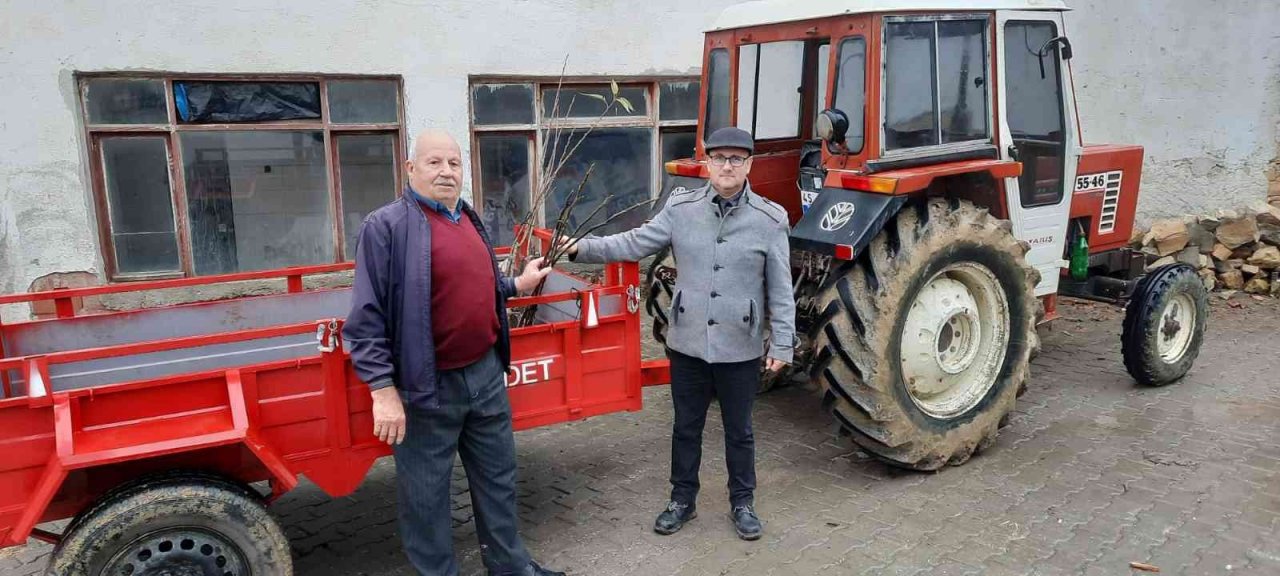 Tarım arazisi yanan üreticilere fidan desteği