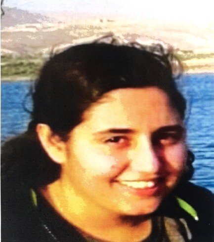 MİT, havan saldırılarını yöneten PKK’lı Mutlu’yu Suriye’de etkisiz hale getirdi