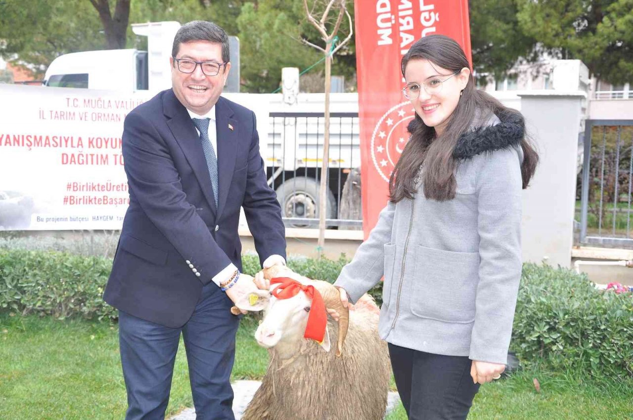 Kadın üreticilere 400 koyun ve 16 koç dağıtıldı