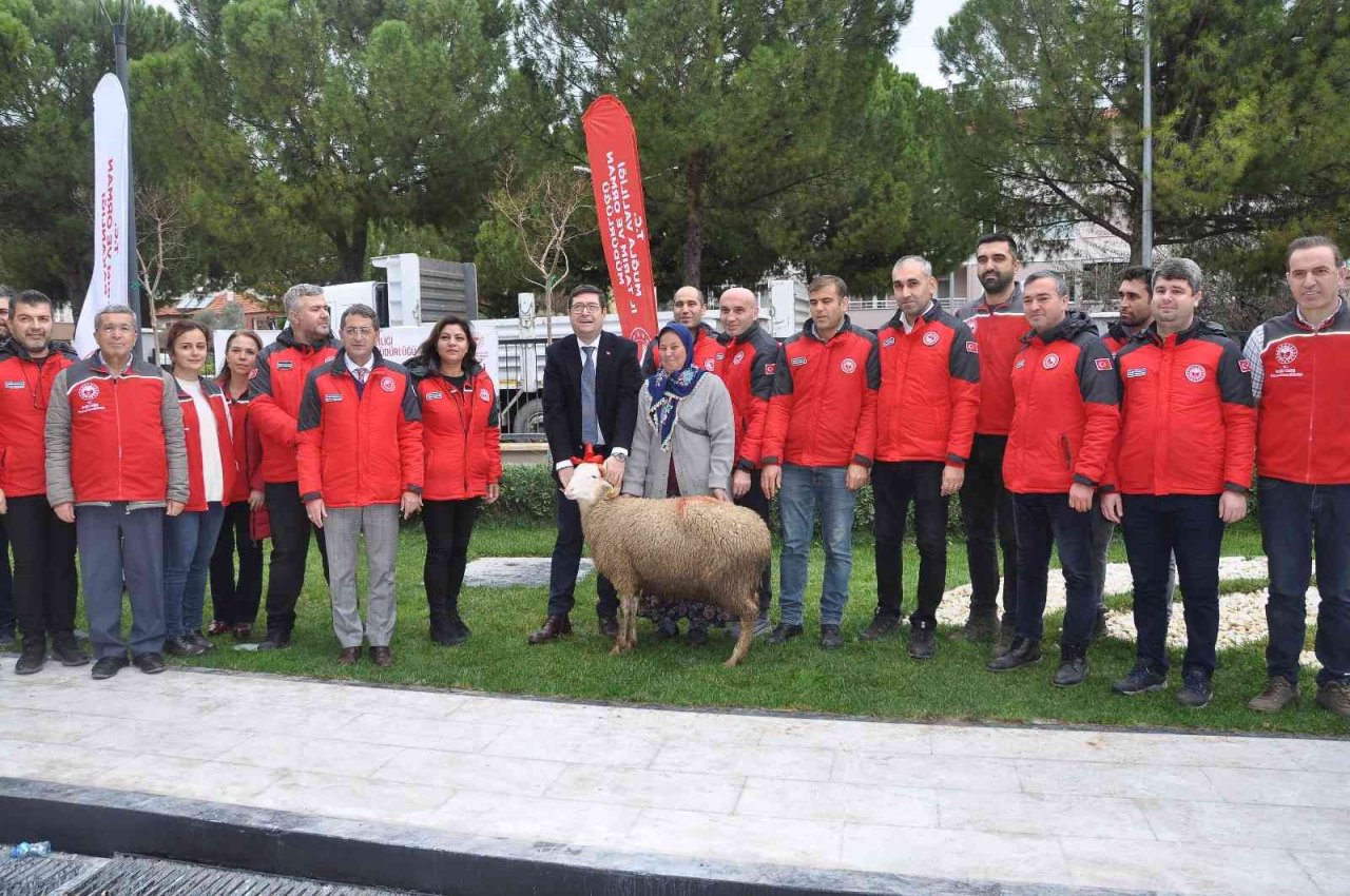 Kadın üreticilere 400 koyun ve 16 koç dağıtıldı