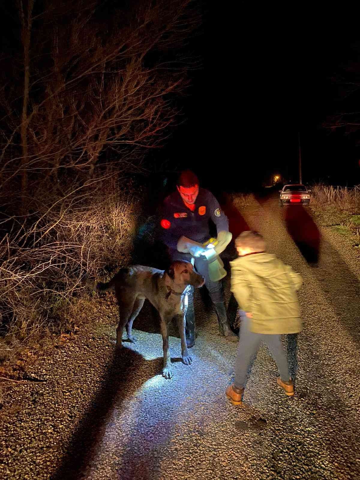 Tasmasını ağaca kaptıran köpek dere kenarında mahsur kaldı