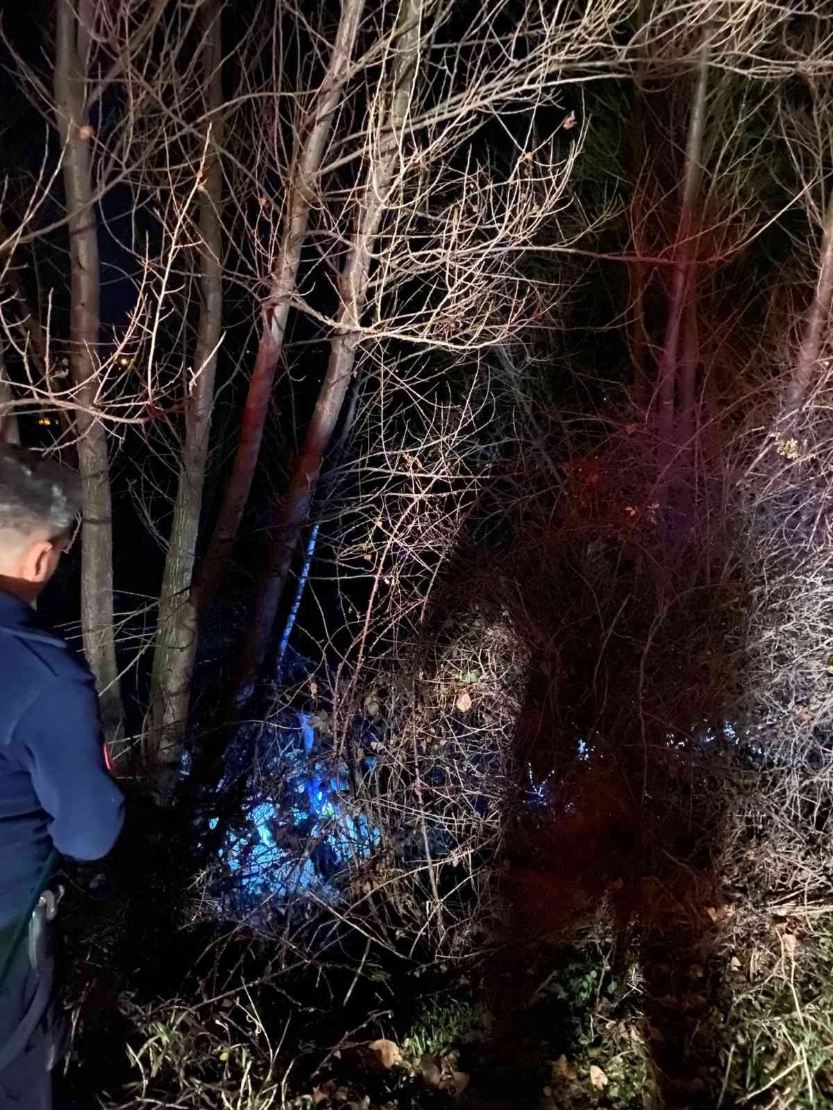 Tasmasını ağaca kaptıran köpek dere kenarında mahsur kaldı