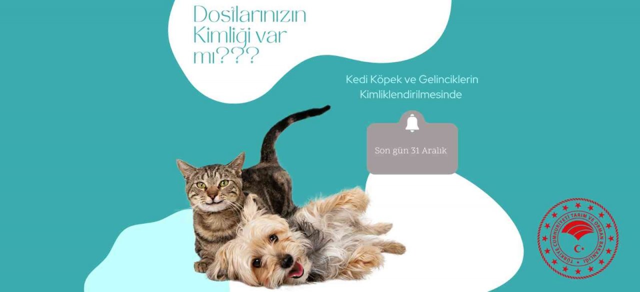 Ev hayvanlarını kimliklendirmeyenlere 3 bin 642 TL idari para cezası