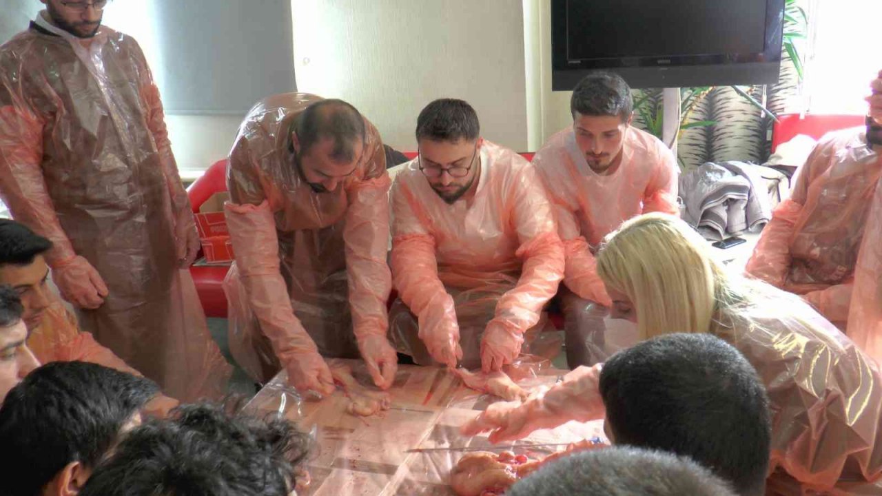 Veterinerlere uygulamalı ‘suni tohumlama’ eğitimi