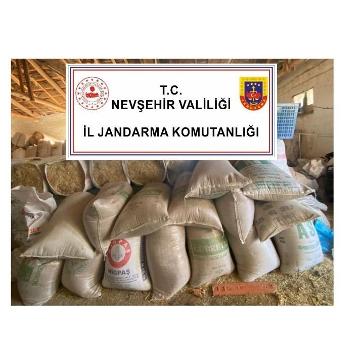 Buğday hırsızları jandarmadan kaçamadı