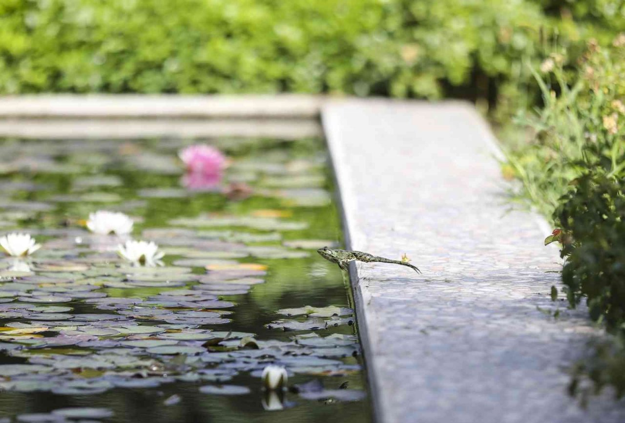 Sürdürülebilirlikte DEÜ farkı