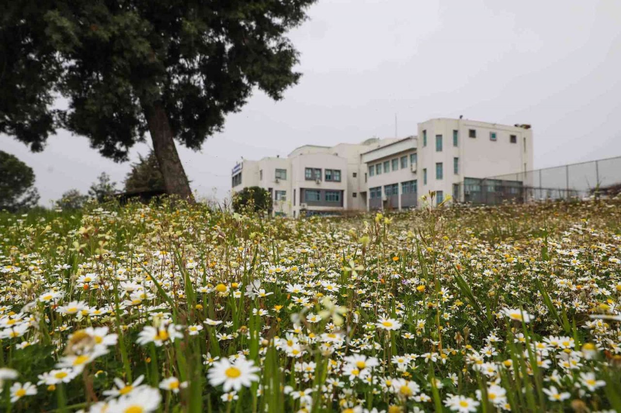 Sürdürülebilirlikte DEÜ farkı