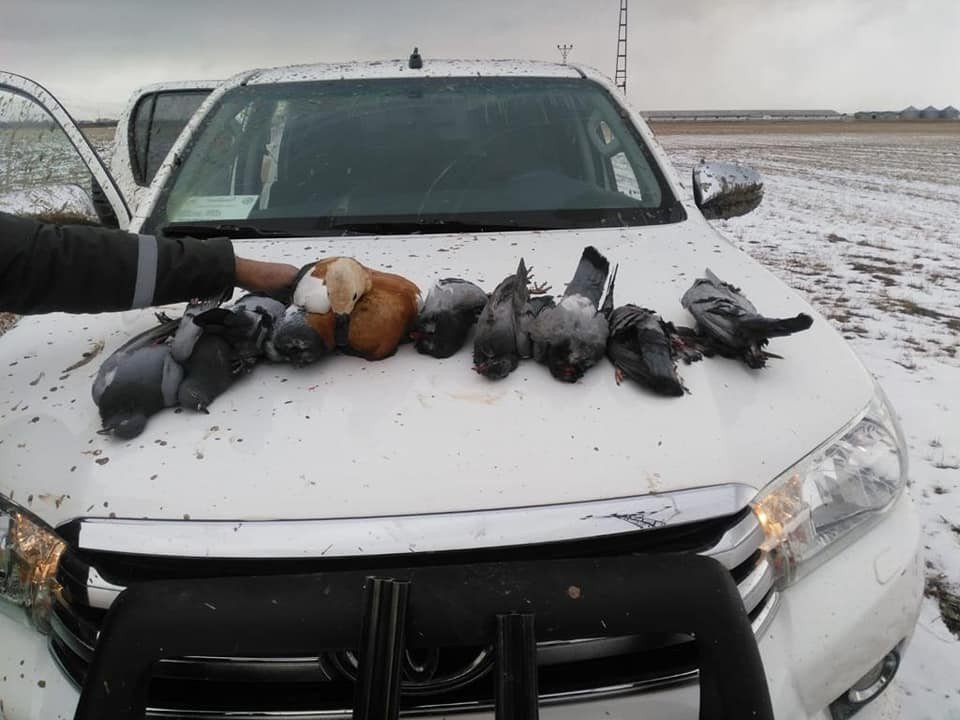 Kaçak avcılar suçüstü yapıldı