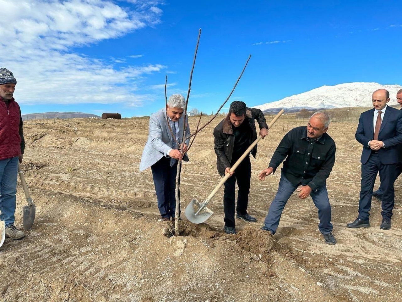 Adilcevaz’da kurulan “Ceviz Gen Bahçesi” çiftçinin yüzünü güldürdü