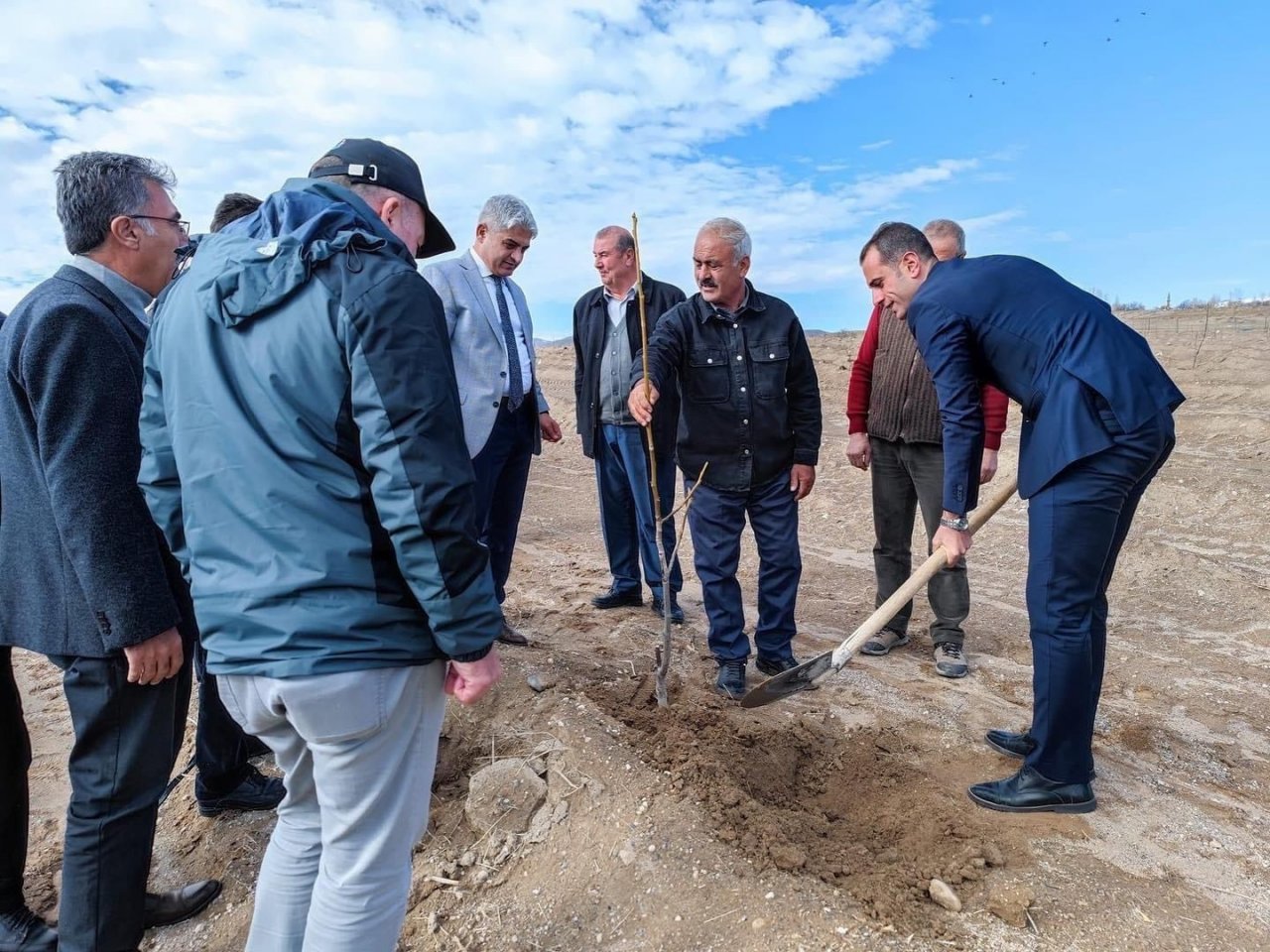Adilcevaz’da kurulan “Ceviz Gen Bahçesi” çiftçinin yüzünü güldürdü