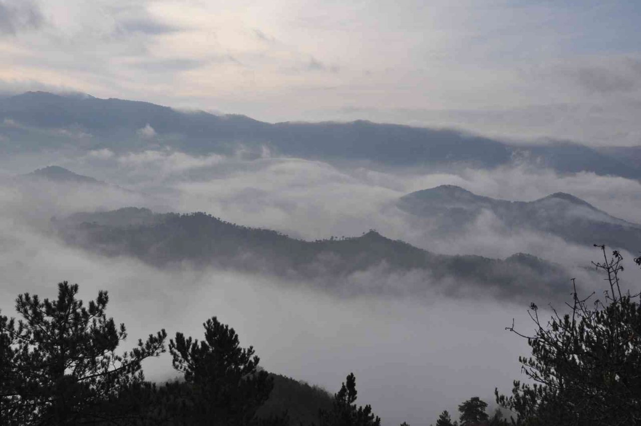 Bu manzara görülmeye değer