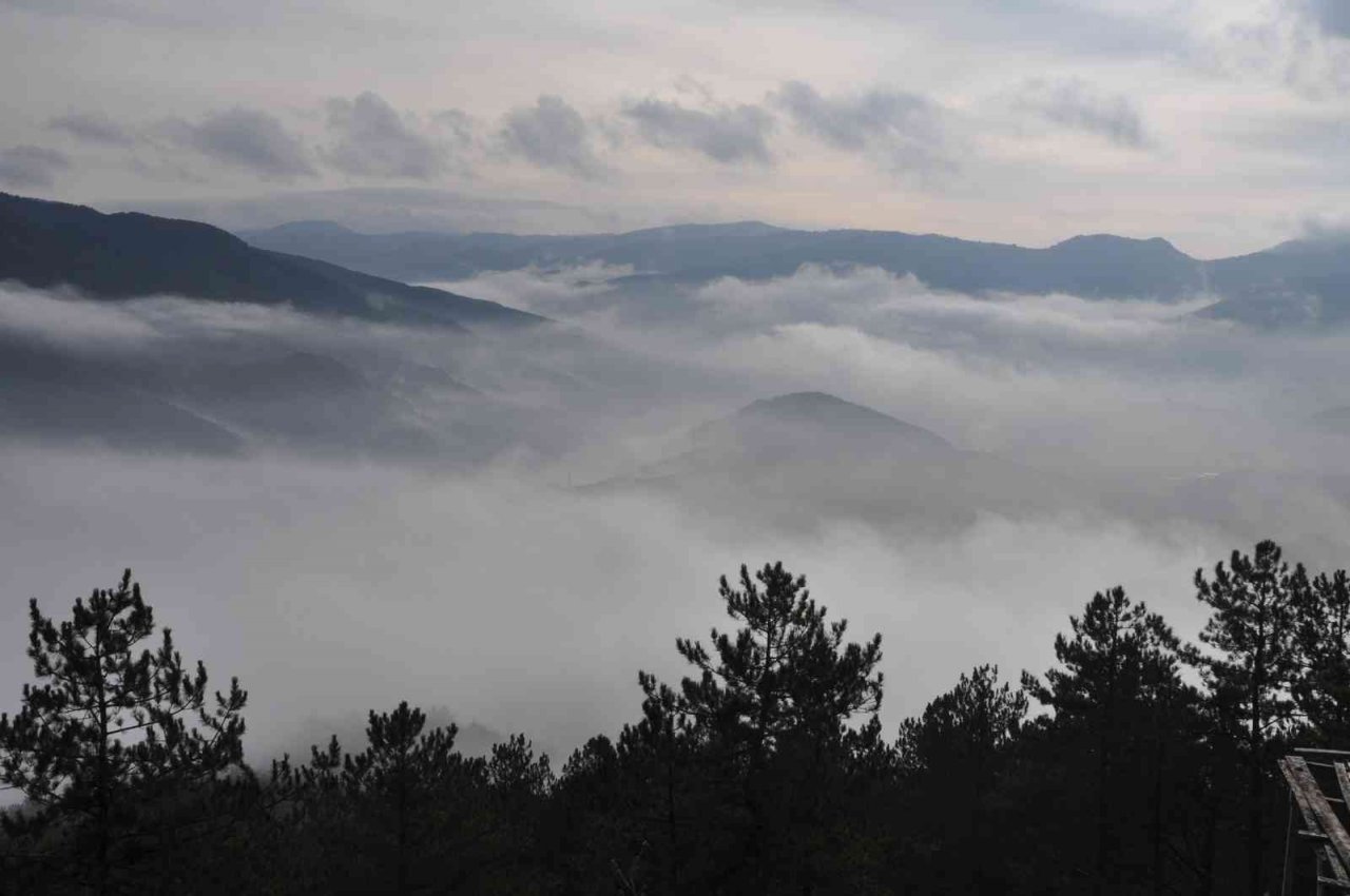 Bu manzara görülmeye değer