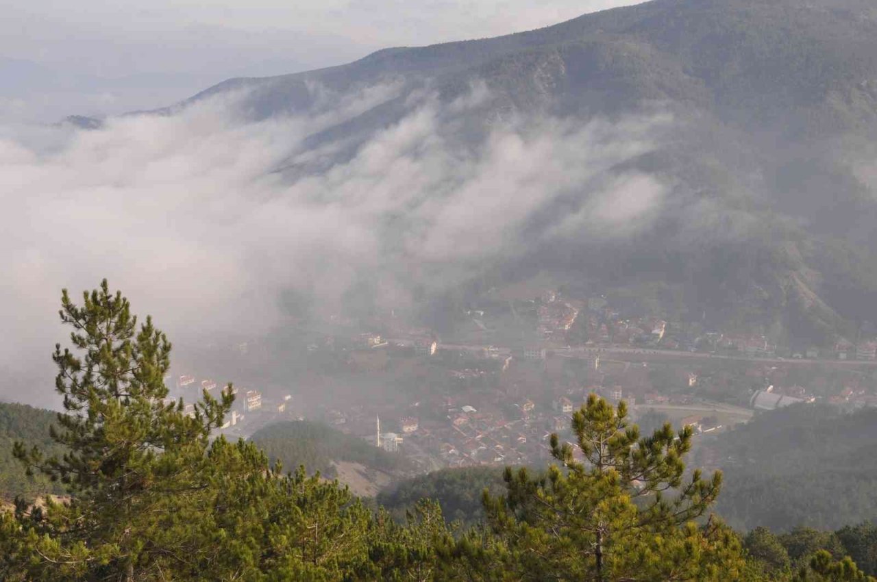 Bu manzara görülmeye değer