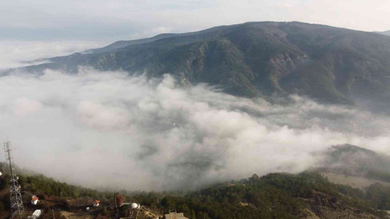 Bu manzara görülmeye değer
