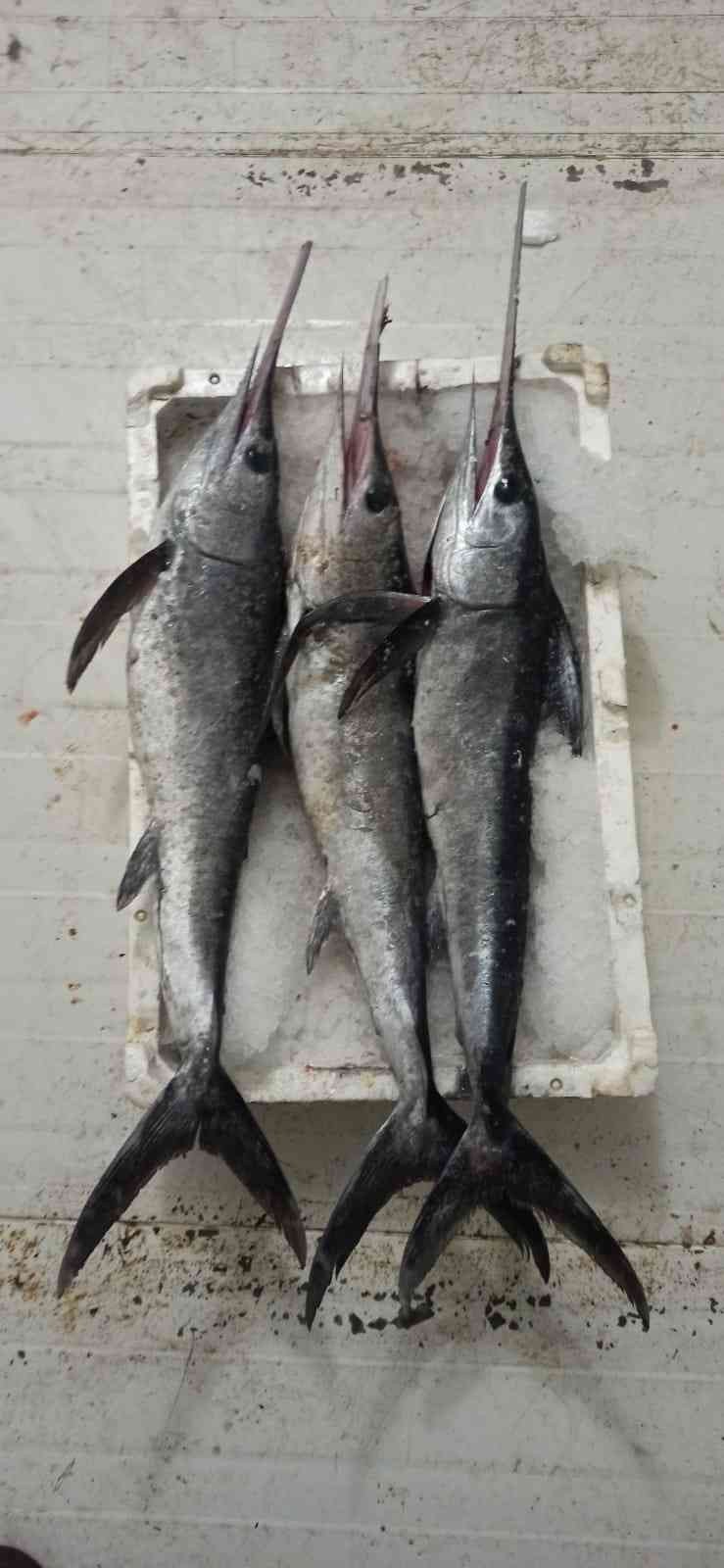 Uygunsuz avlanmaya geçit yok