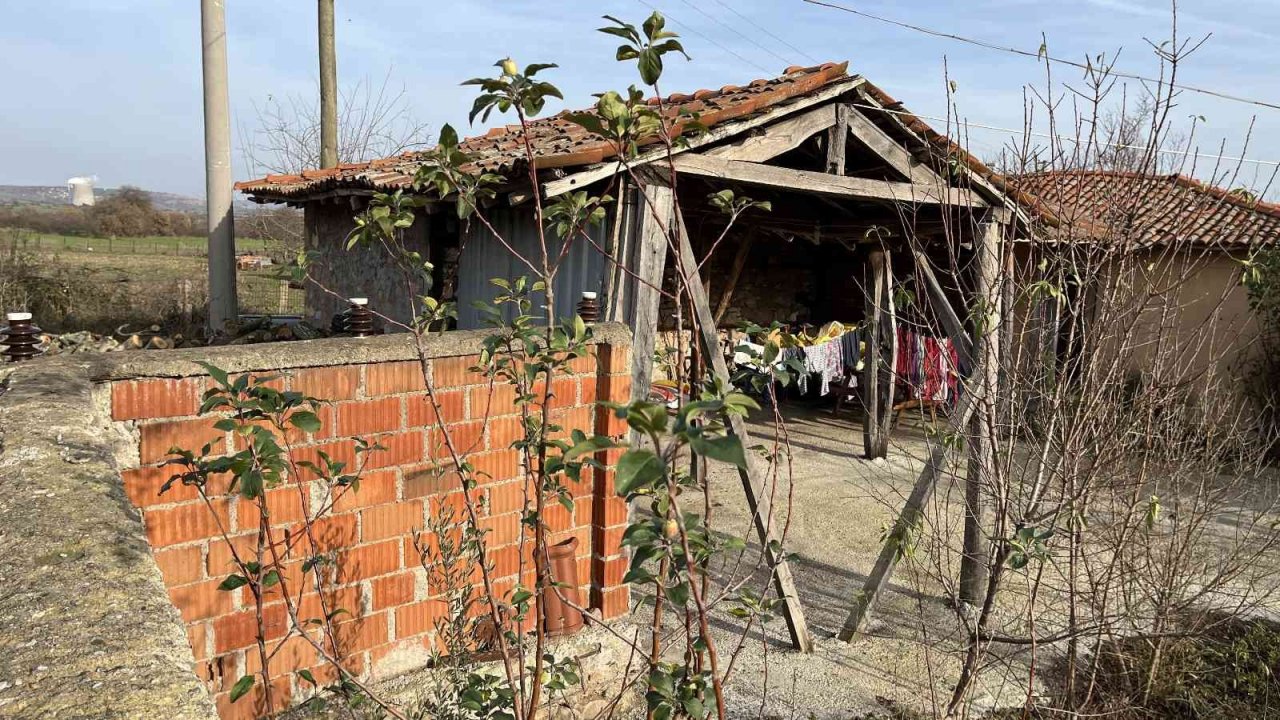 Çanakkale’de elma ağacı 2’nci kez meyve verdi