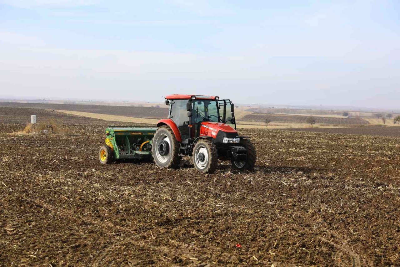 Denizli’de çiftçilere dağıtılan sertifikalı tohumlar toprakla buluştu
